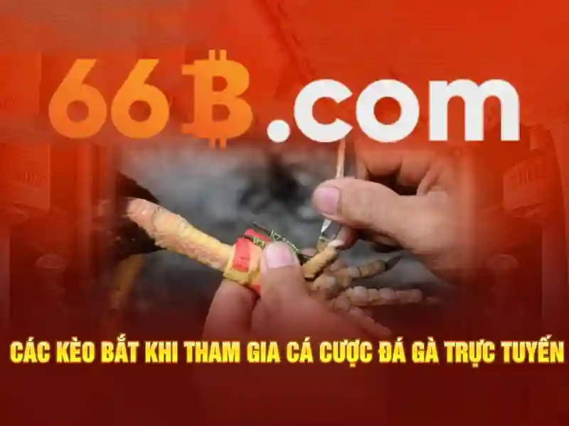 Sân cầu lông 66b triều khúc - Ý nghĩa và vai trò trong nhận định kèo 1 Đăng Nhập