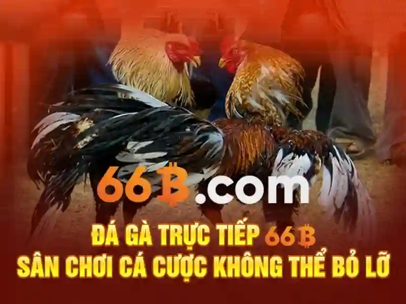Nguon goc ten goi cua san cau long 66b triieu khuc Nguon goc ten goi cua san cau long 66b triieu khuc
