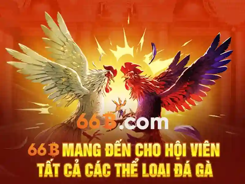 Kiến trúc và khả năng của 66B\n Kiến trúc và khả năng của 66B\n