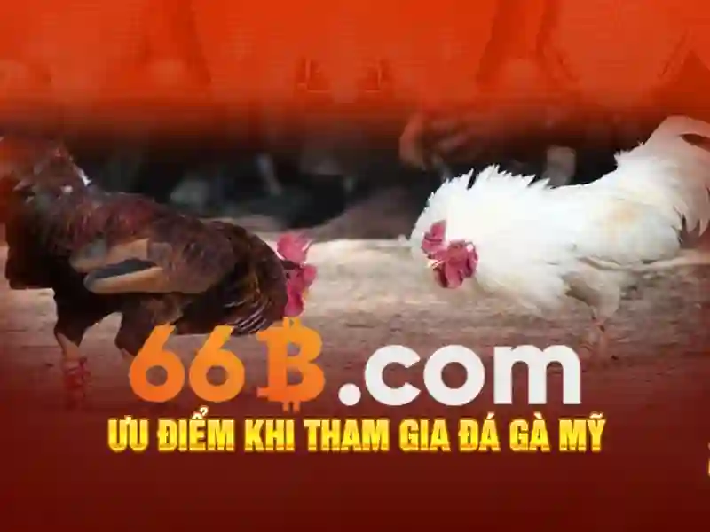 66b công trường quốc tế – chủ đề tổng quan và giá trị 66b công trường quốc tế – chủ đề tổng quan và giá trị