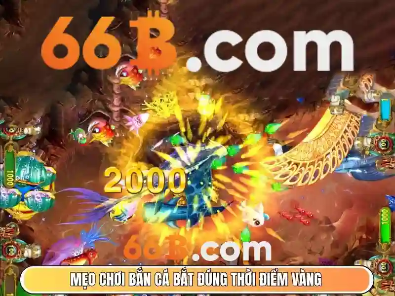 link 66b – Tổng quan chủ đề và giá trị cốt lõi