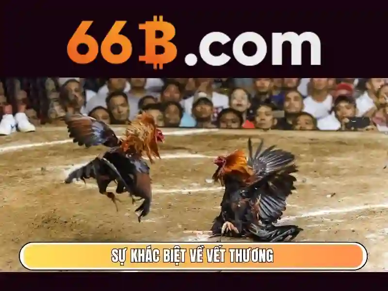 66B: Khái niệm, đặc điểm và ứng dụng Go88