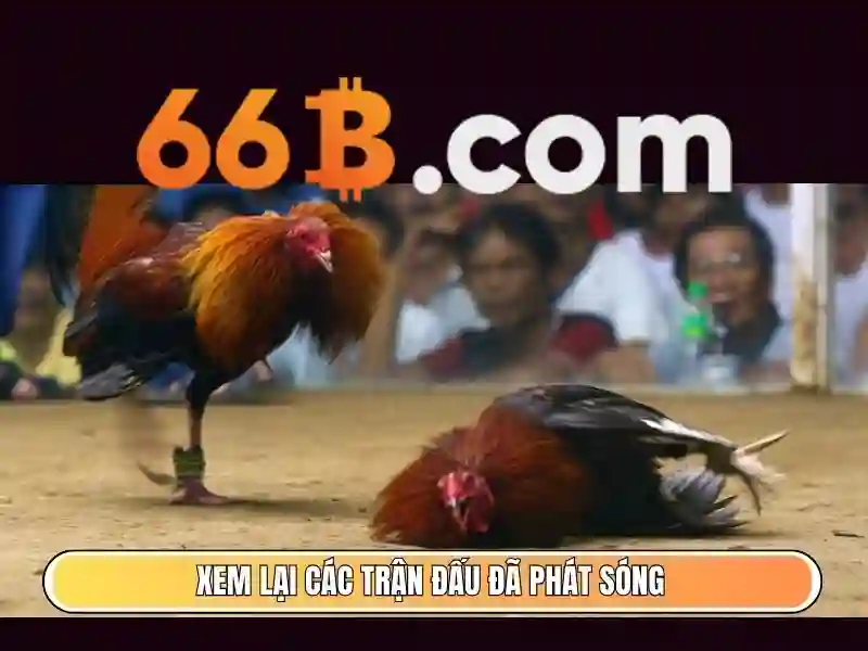 66b: một khái niệm công nghệ mở Go88