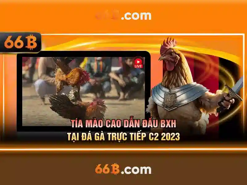 66b: Nguồn gốc, ý nghĩa và tiềm năng 1 Đăng Nhập