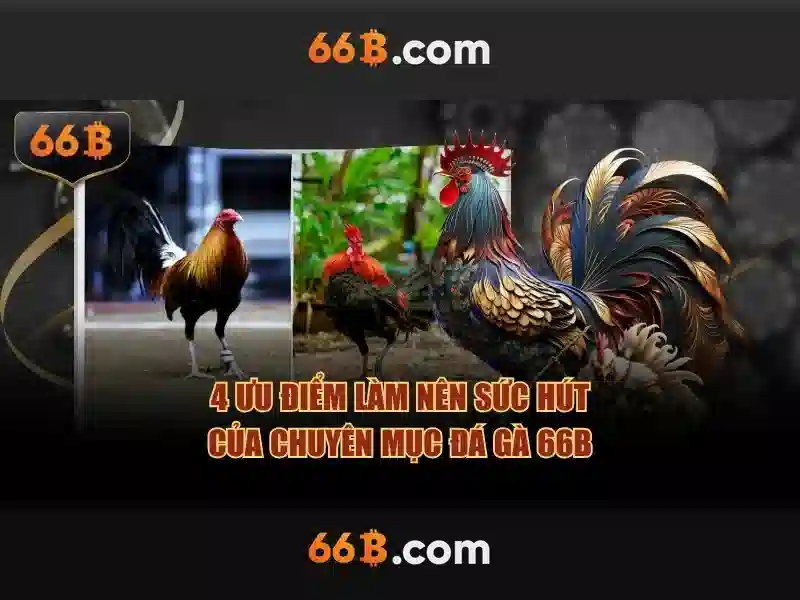 Những đặc điểm nổi bật của 66B Những đặc điểm nổi bật của 66B