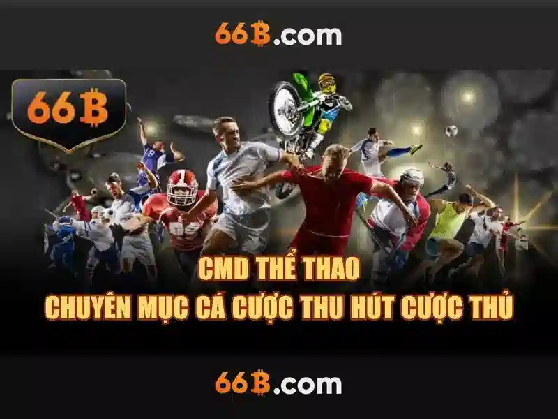 66b nhà cái – Các sản phẩm và dịch vụ nổi bật của 66b nhà cái