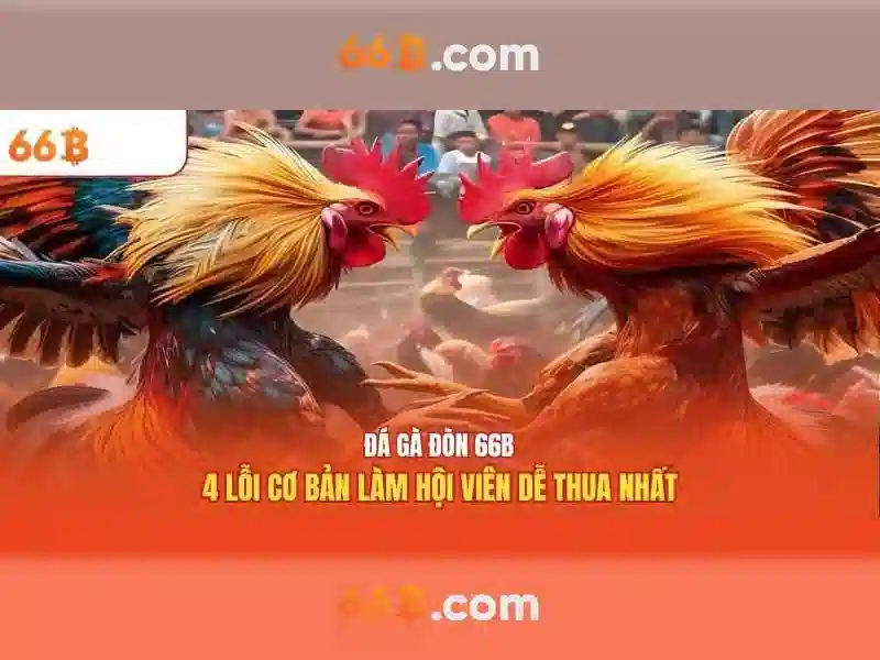 66B là gì và ứng dụng của nó 1 Đăng Nhập