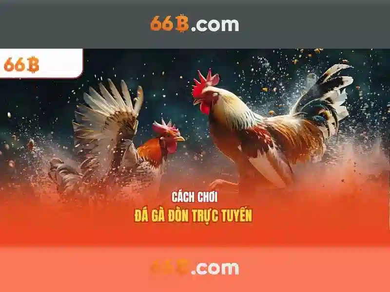 Tìm hiểu về 66b 1 Đăng Nhập
