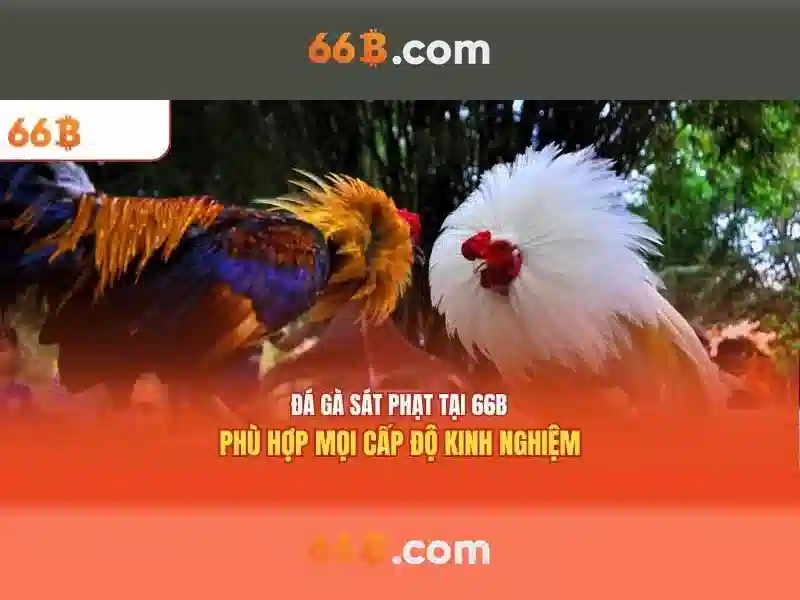 Nguyên lý cơ bản và cách biểu diễn