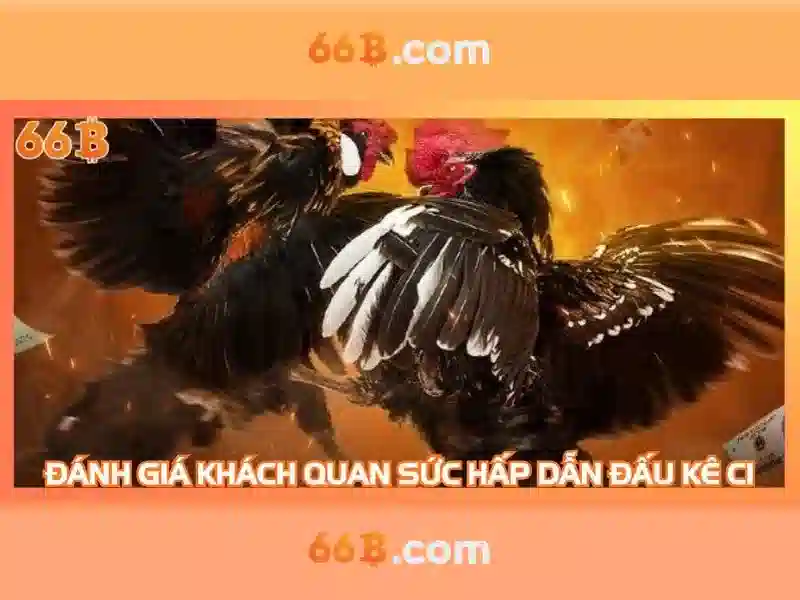 Nguồn gốc của 66b qua các lĩnh vực