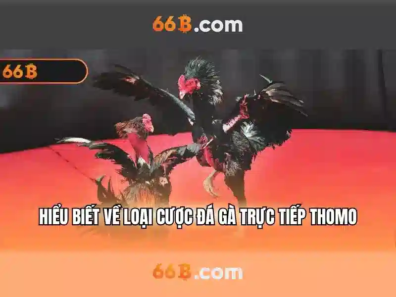 66b: Mô hình AI 66 tỉ tham số và hành trình của nó Go88