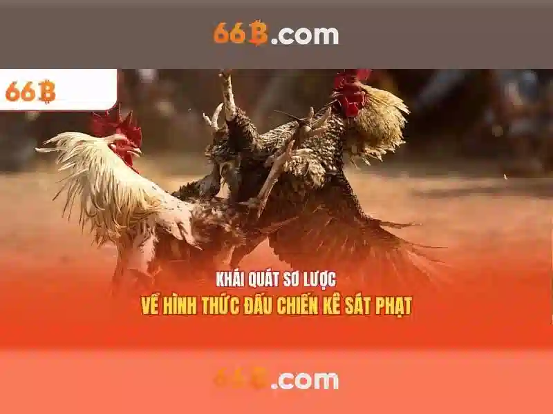 66b trong công nghệ và dữ liệu\n\n 66b trong công nghệ và dữ liệu\n\n