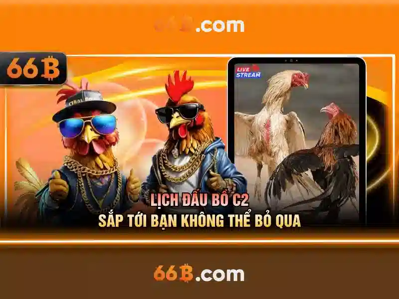 Nguồn gốc và sự phát triển của 66b