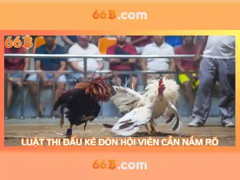 Đánh giá hiệu suất và tương lai Đánh giá hiệu suất và tương lai