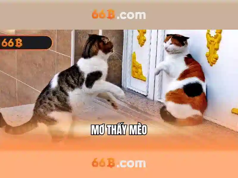 66 tỷ tham số và thế giới của mô hình ngôn ngữ 66B Soi kèo hiệp 1