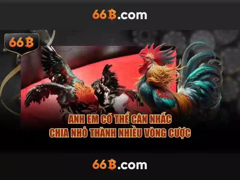Hiệu suất và thách thức của 66B\n Hiệu suất và thách thức của 66B\n