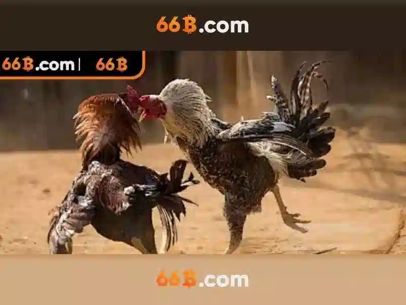 Kiến trúc và tham số