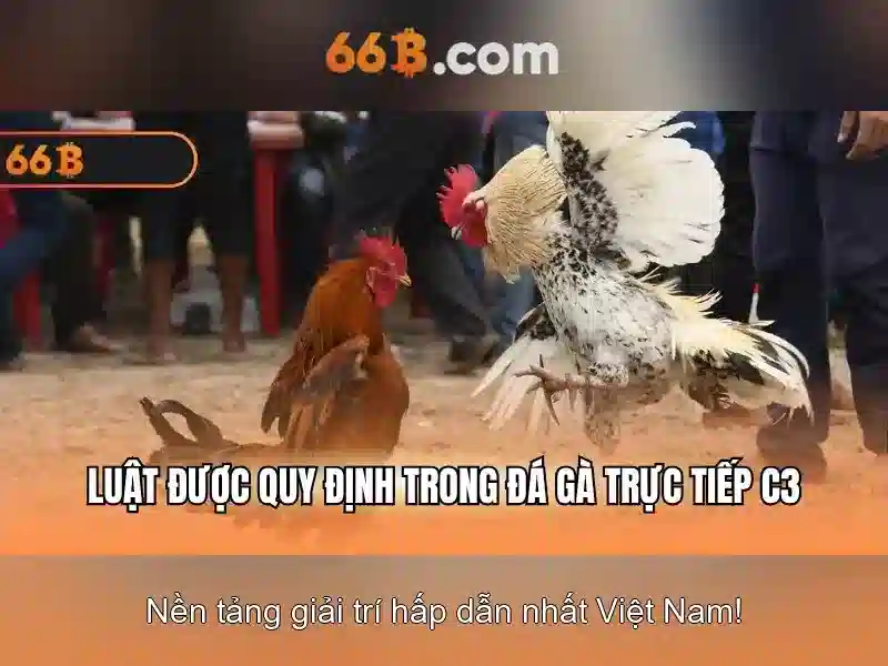 66b: khái niệm và ảnh hưởng trong thế giới số 1 Đăng Nhập