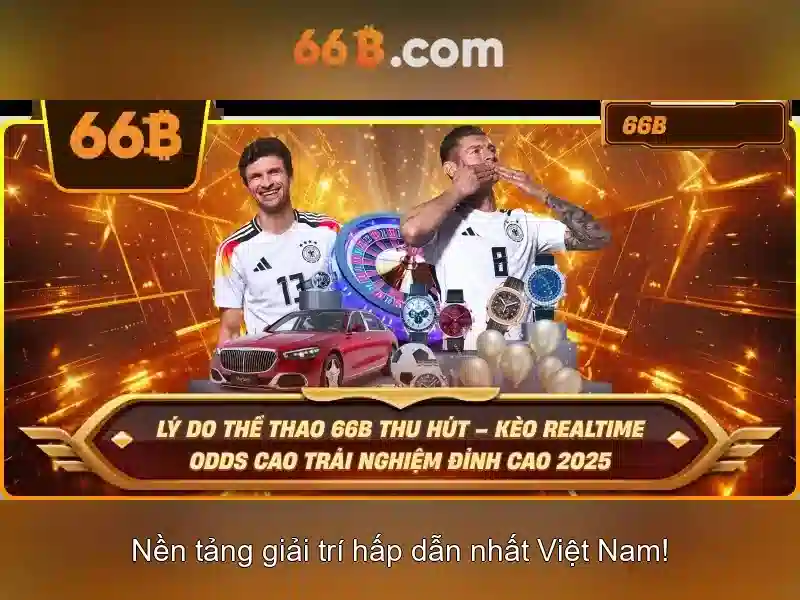 Giới thiệu về 66b