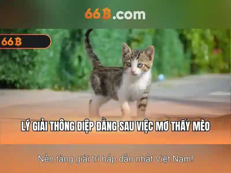 Soi kèo hiệp 1