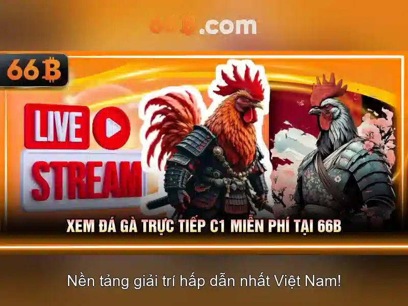 66b: Mô hình ngôn ngữ quy mô 66 tỷ tham số và tương lai của AI Soi kèo hiệp 1