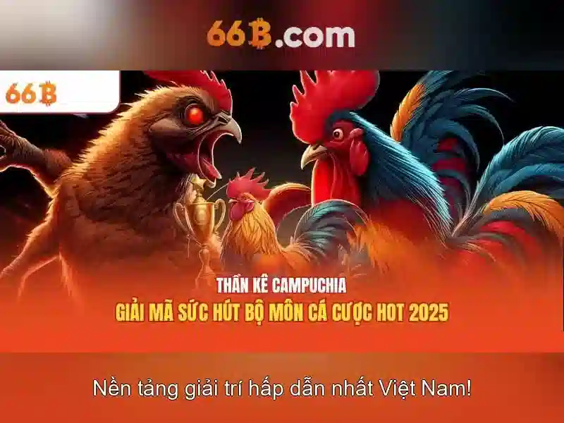 66B là gì? 66B là gì?