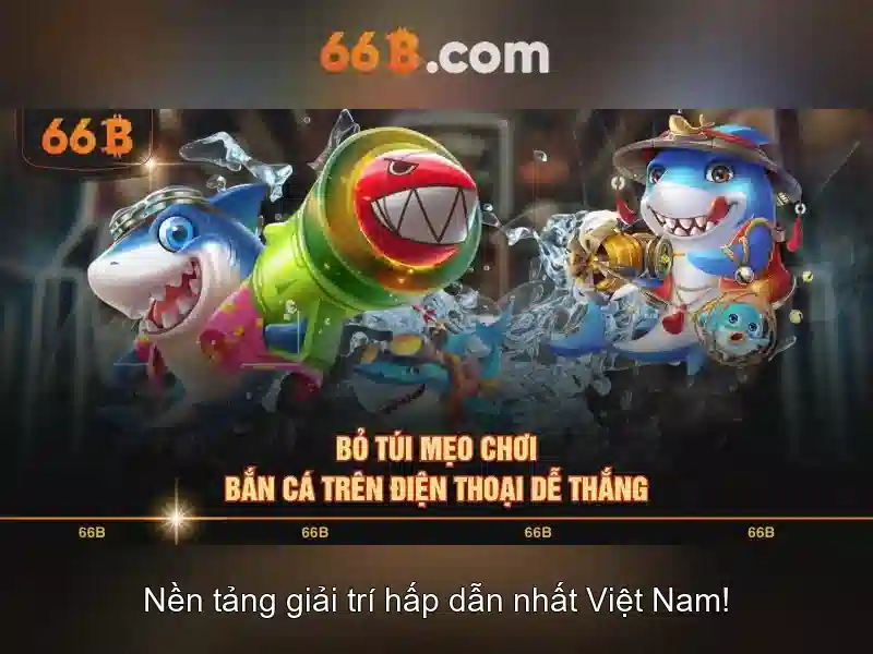 Giới thiệu về kích thước 66B