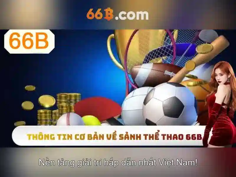 66B là gì?