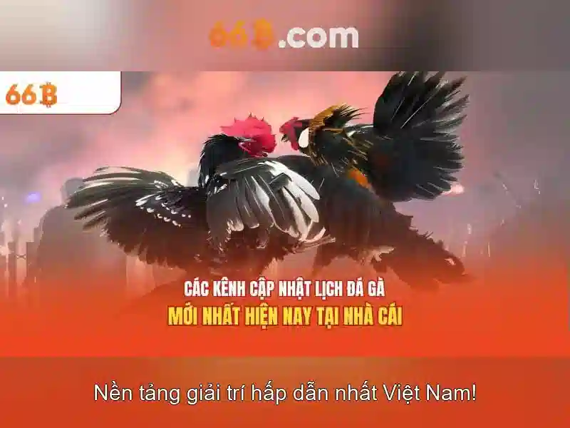 Khả năng xử lý ngôn ngữ và đa ngôn ngữ\n Khả năng xử lý ngôn ngữ và đa ngôn ngữ\n