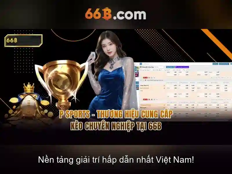 <!--IMG_PLACEHOLDER alt>Trải nghiệm người dùng và phản hồi cộng đồng-->