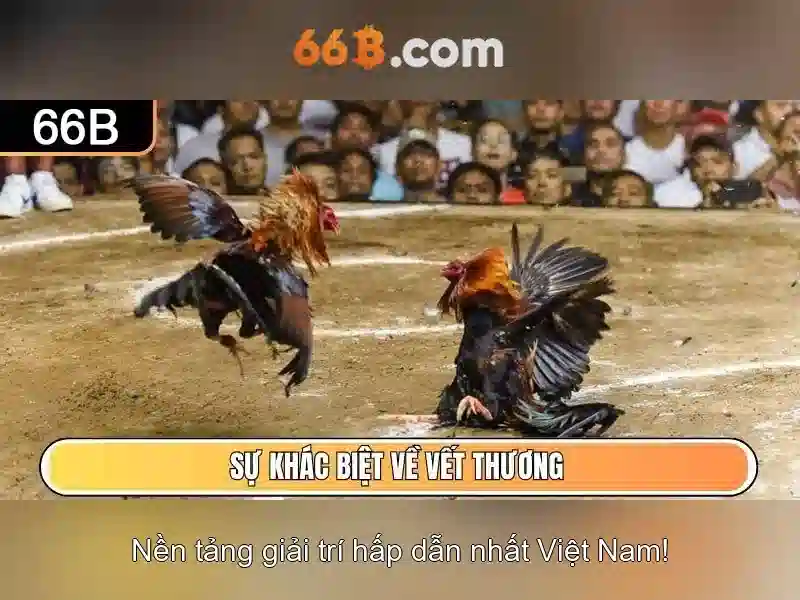 66b: một cái nhìn tổng quan về mô hình ngôn ngữ 66b 1 Đăng Nhập