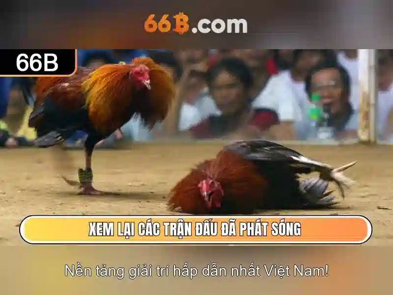 Khái niệm cơ bản về 66B Khái niệm cơ bản về 66B