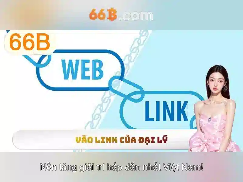 66B là gì?