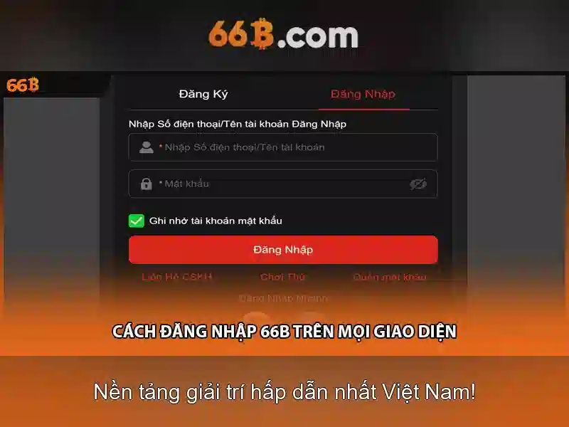 66B là gì?