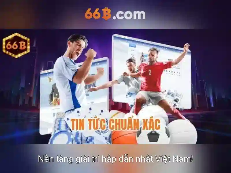 Cách làm việc và tối ưu hóa hiệu suất