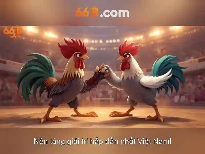 Kiến trúc và kích thước\n\n
