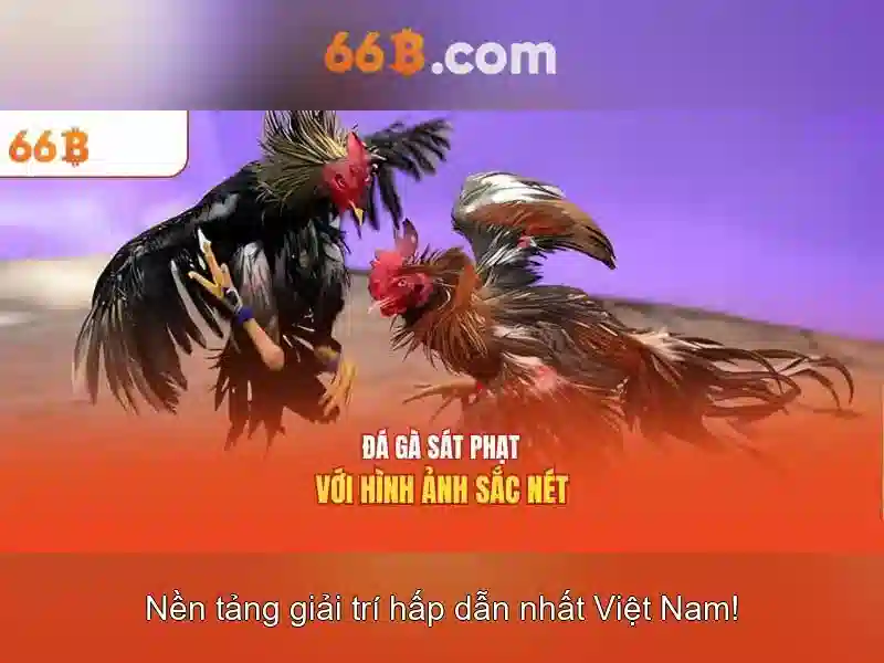 Sản phẩm và dịch vụ cốt lõi của opt-66b