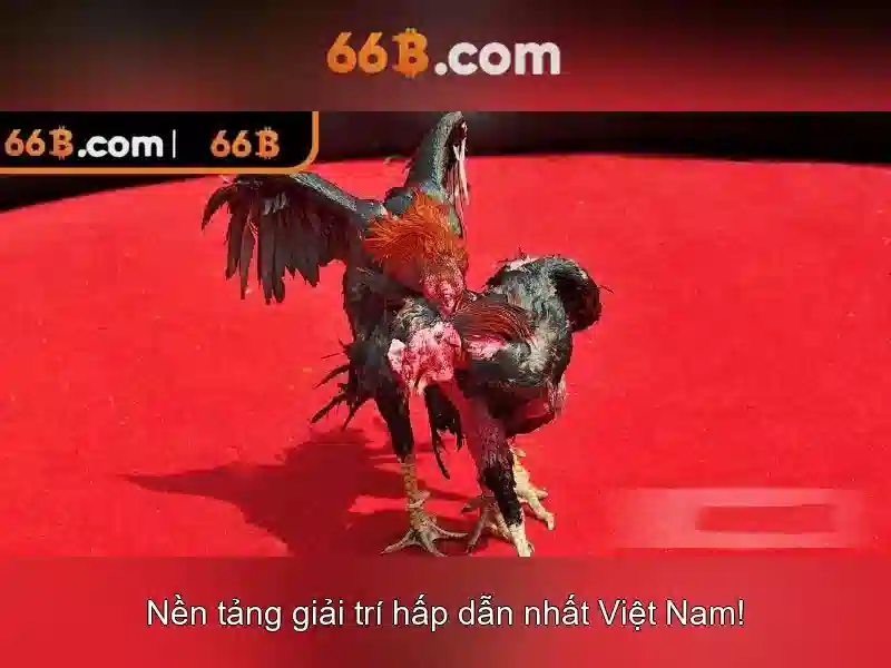 66B: Mô hình ngôn ngữ 66 tỷ tham số Go88
