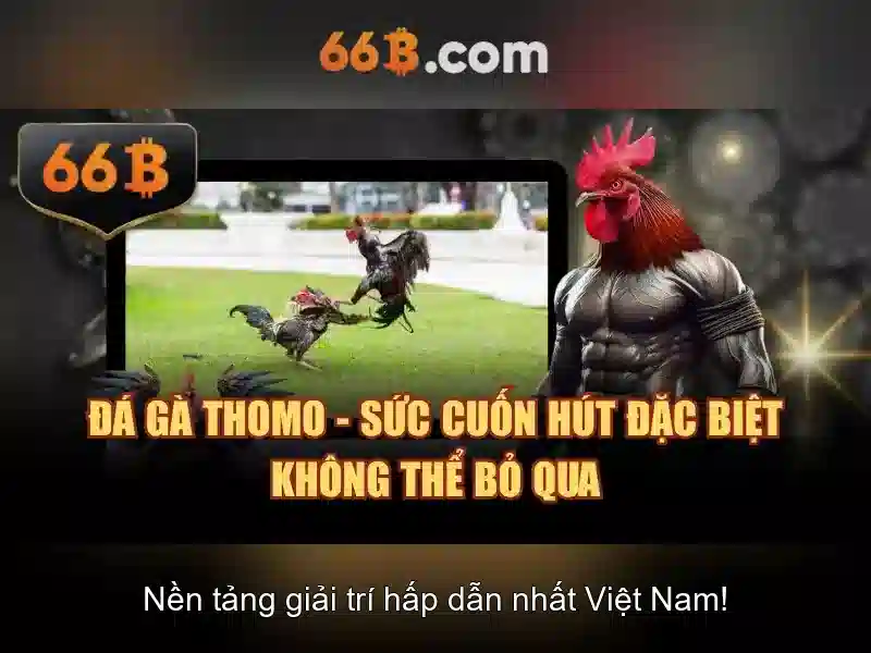 Lí do 66B thu hút sự chú ý\n