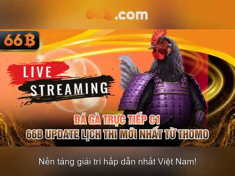 Kiến trúc và tham số