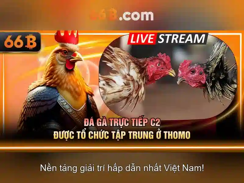 Phân tích chi tiết Phân tích chi tiết