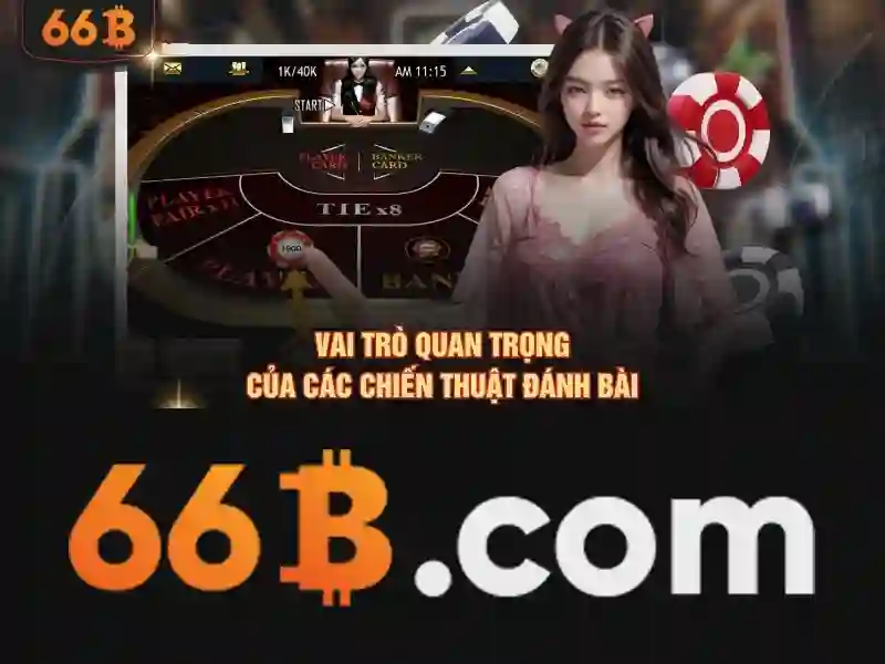 Trải nghiệm người dùng và phản hồi cộng đồng