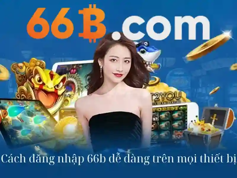 66B là gì?\n