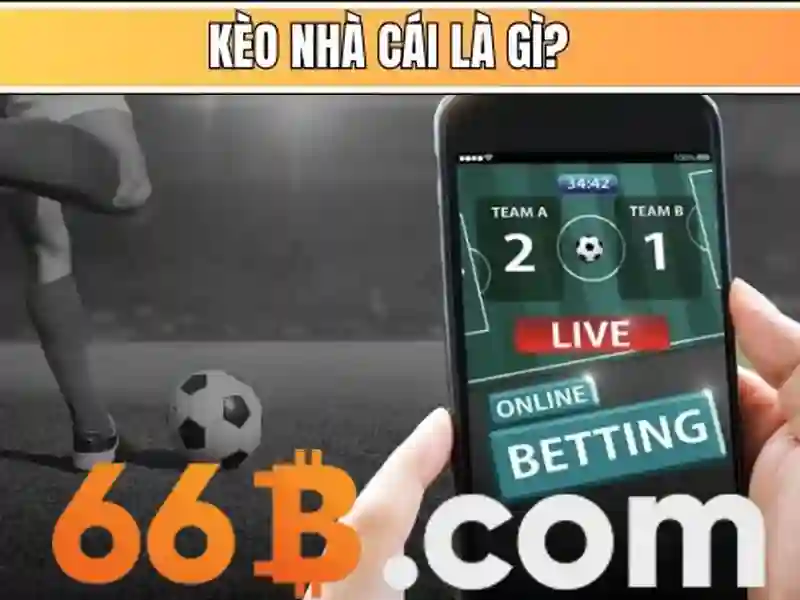 Ứng dụng và tương lai của 66b