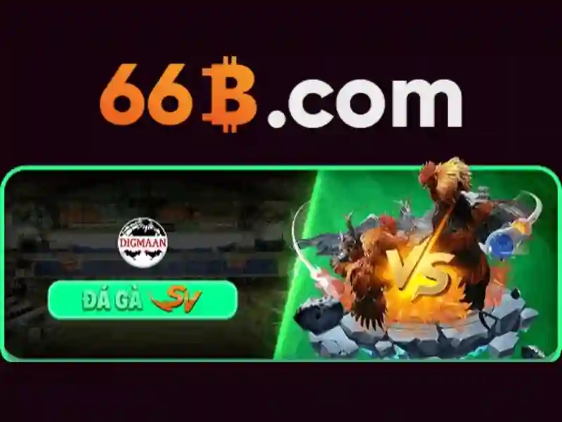 66B là gì?